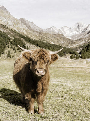 Oetztal Alps By Danita Delimont Giclee Canvas