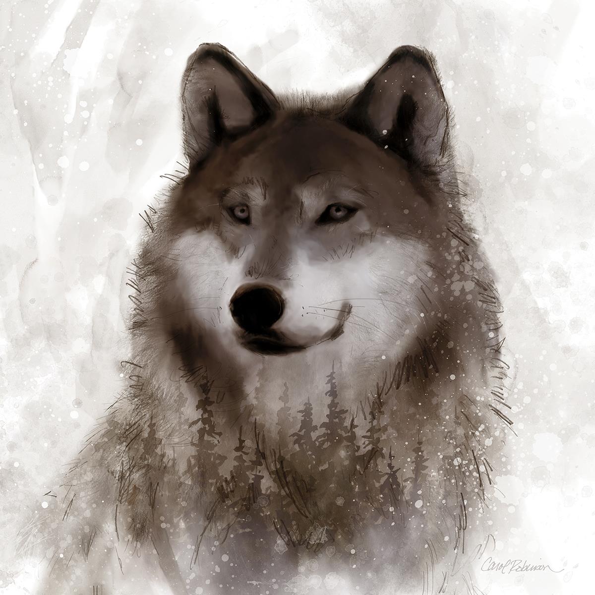 Forest Wolf By Carol Robinson Giclee Canvas