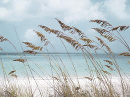 Solitude Beach By Danita Delimont Giclee Canvas
