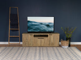 Tabby  60-inch TV Entertainment Center Mango