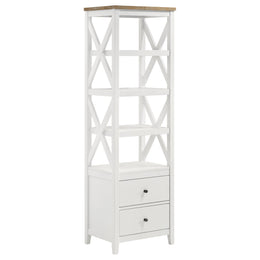 Hollis 2-door Wood 67-inch TV Stand with Drawer Brown and White