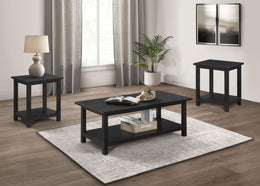 Payne Coffee and End Table Set Distressed