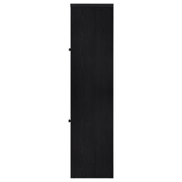 Denison 67-inch 2-door Media Tower Storage Cabinet Black