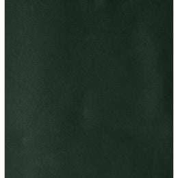 Meridian Pablo Green Velvet Queen Bed