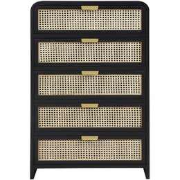 Meridian Sage Black Chest