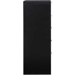 Meridian Sage Black Chest