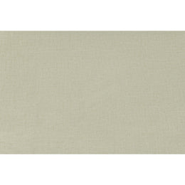 Meridian Tess Cream Velvet Queen Bed (3 Boxes)