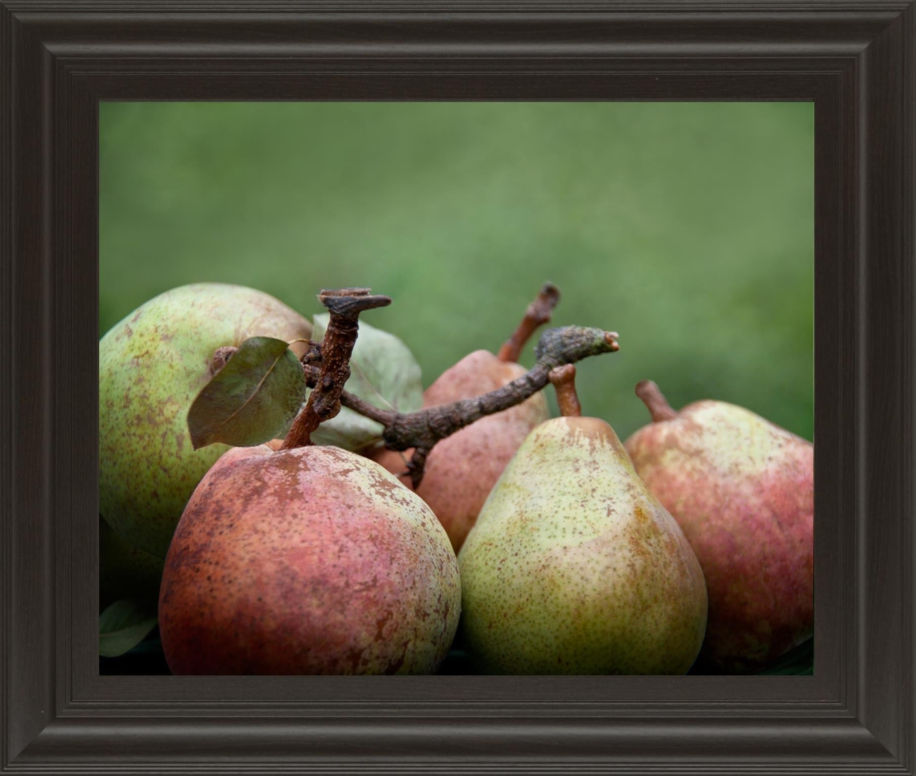 Comice Pear Ii By Rachel Perry 22X26 Framed Print