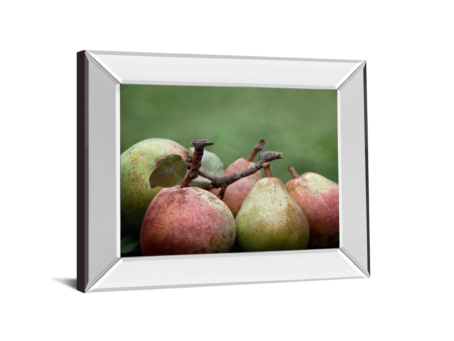 Mirrored Frame Comice Pear Ii By Rachel Perry 22X26 Mirror Frame Print
