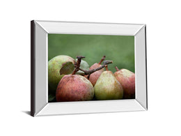 Mirrored Frame Comice Pear Ii By Rachel Perry 22X26 Mirror Frame Print