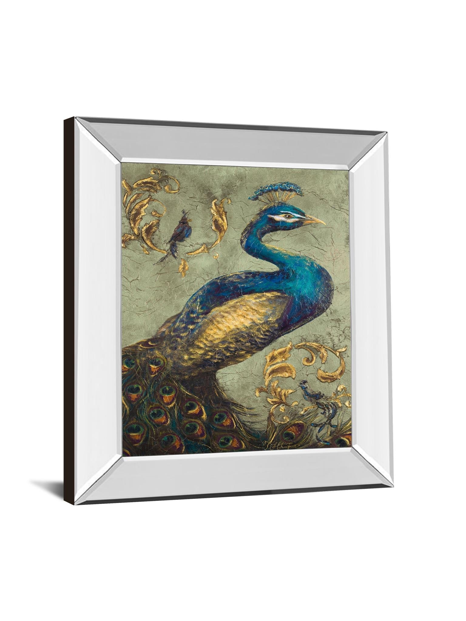 Mirrored Frame Peacock On Sage I By Tiffany Hakimipour 22X26 Mirror Frame Print