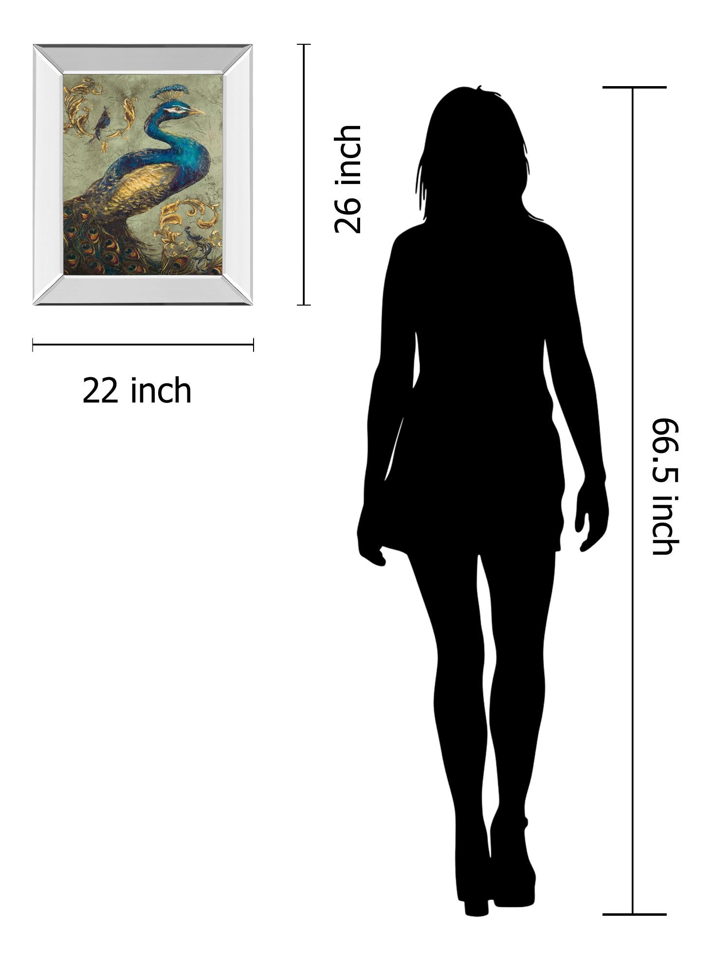 Mirrored Frame Peacock On Sage I By Tiffany Hakimipour 22X26 Mirror Frame Print