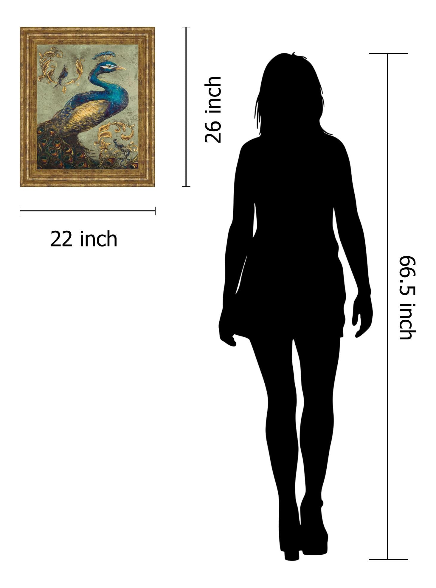 Peacock On Sage I By Tiffany Hakimipour 22X26 Framed Print