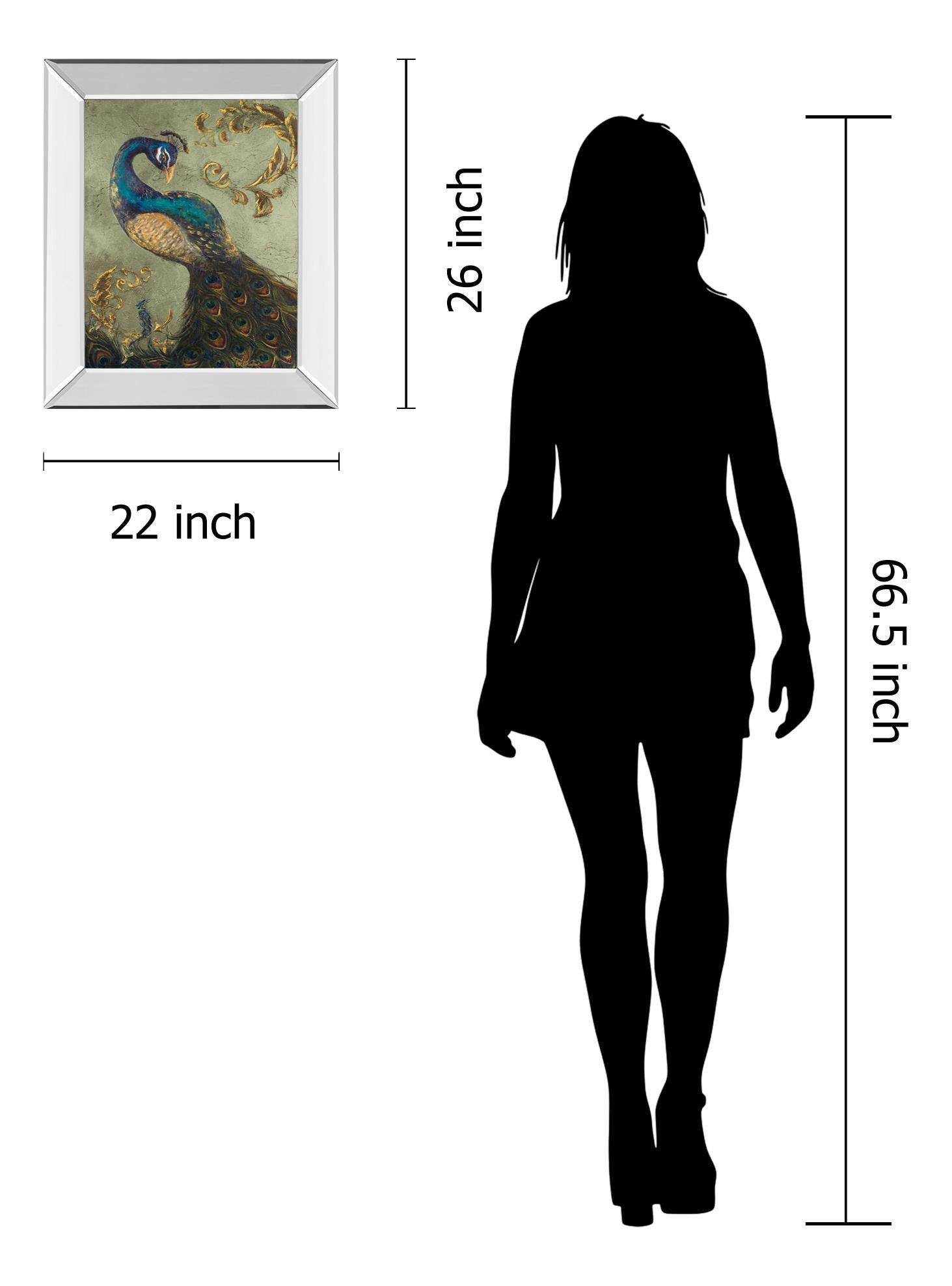 Mirrored Frame Peacock On Sage Ii By Tiffany Hakimipour 22X26 Mirror Frame Print