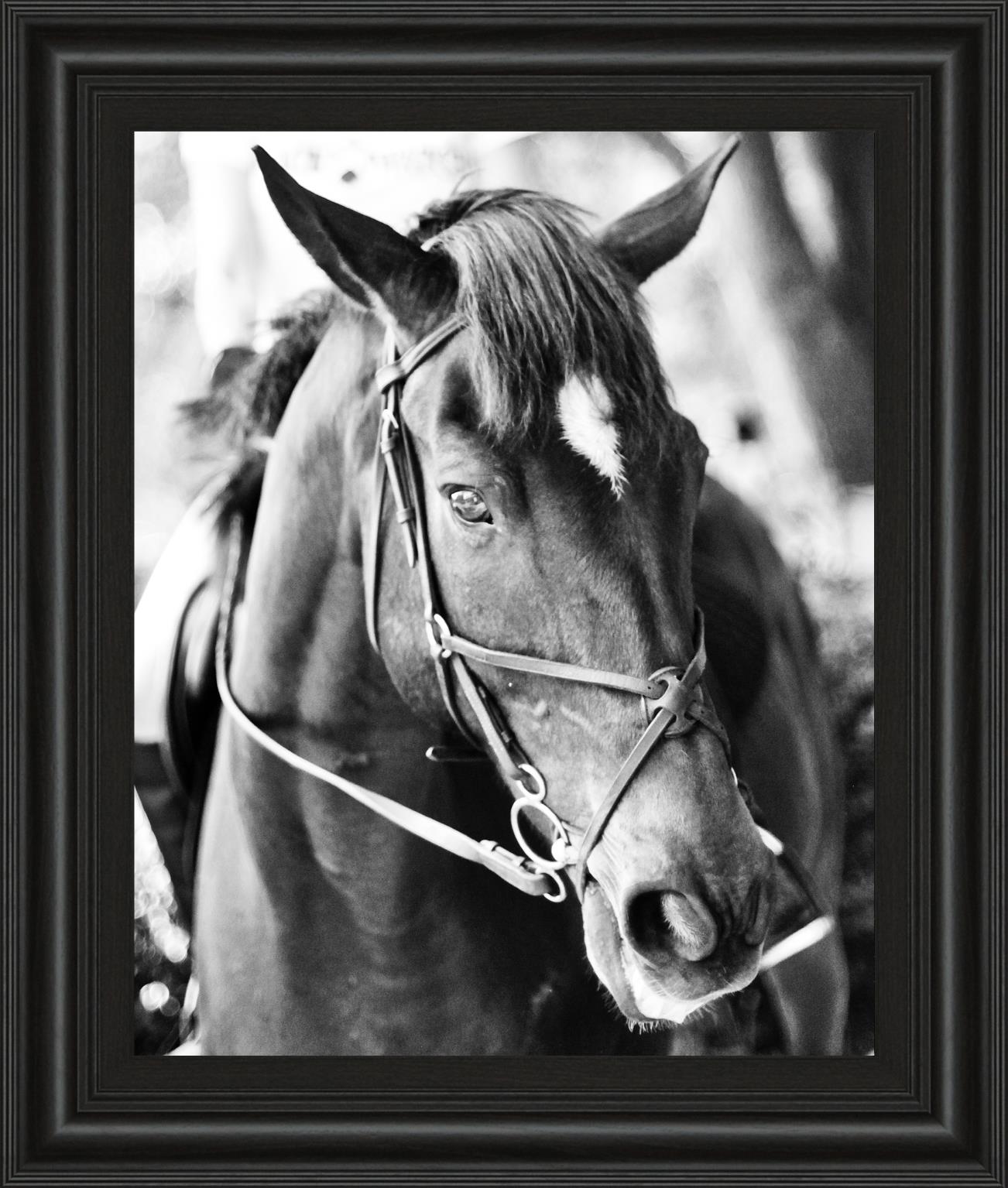Derby I By Susan Bryant 22X26 Framed Print