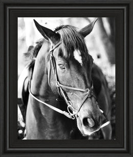 Derby I By Susan Bryant 22X26 Framed Print