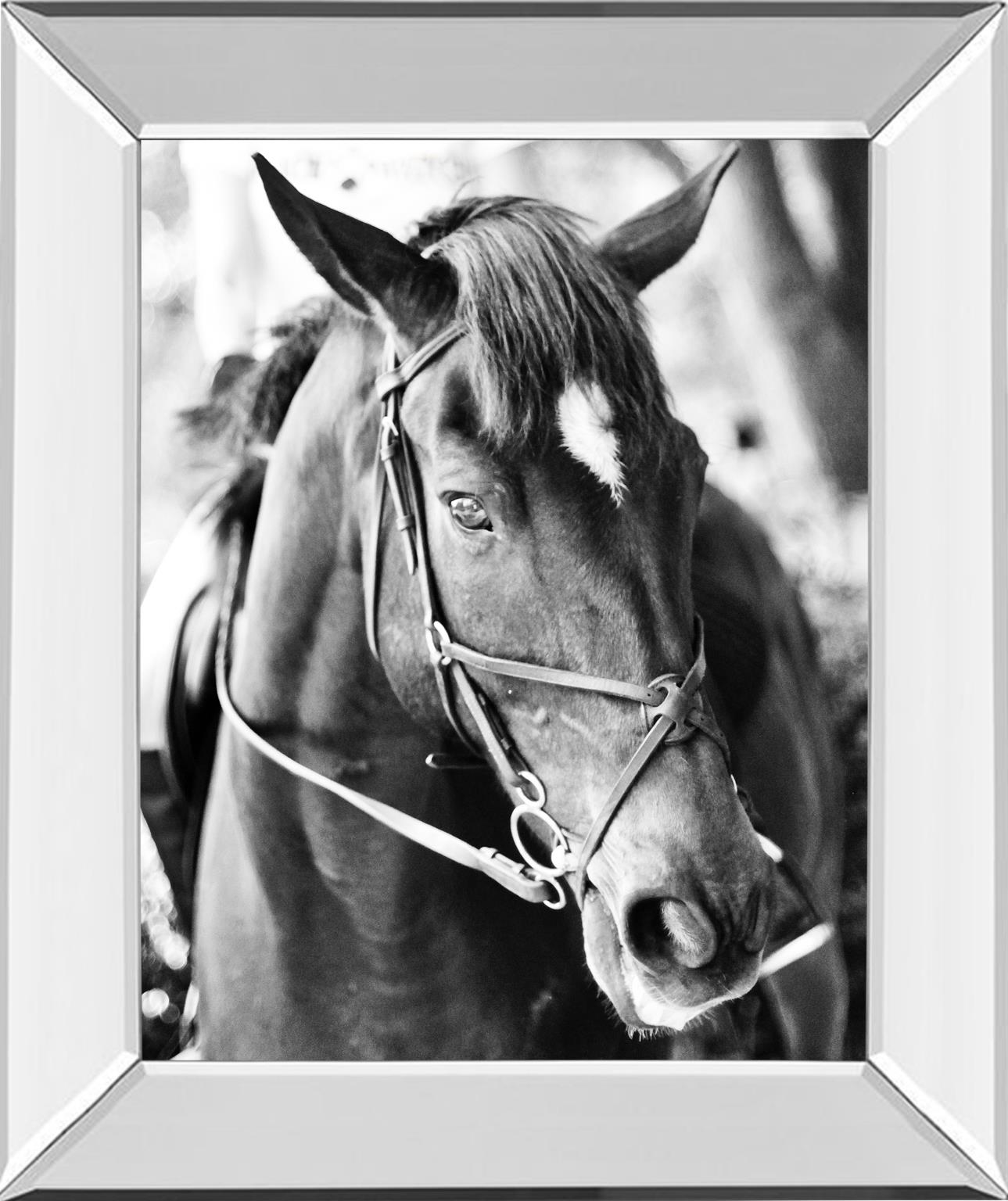 Mirrored Frame Derby I By Susan Bryant 22X26 Mirror Frame Print