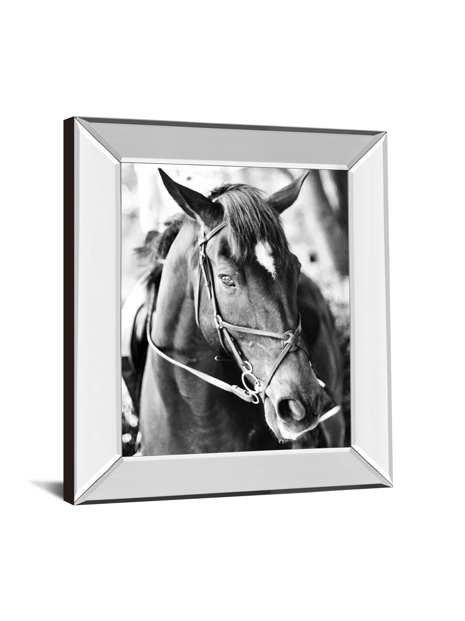 Mirrored Frame Derby I By Susan Bryant 22X26 Mirror Frame Print