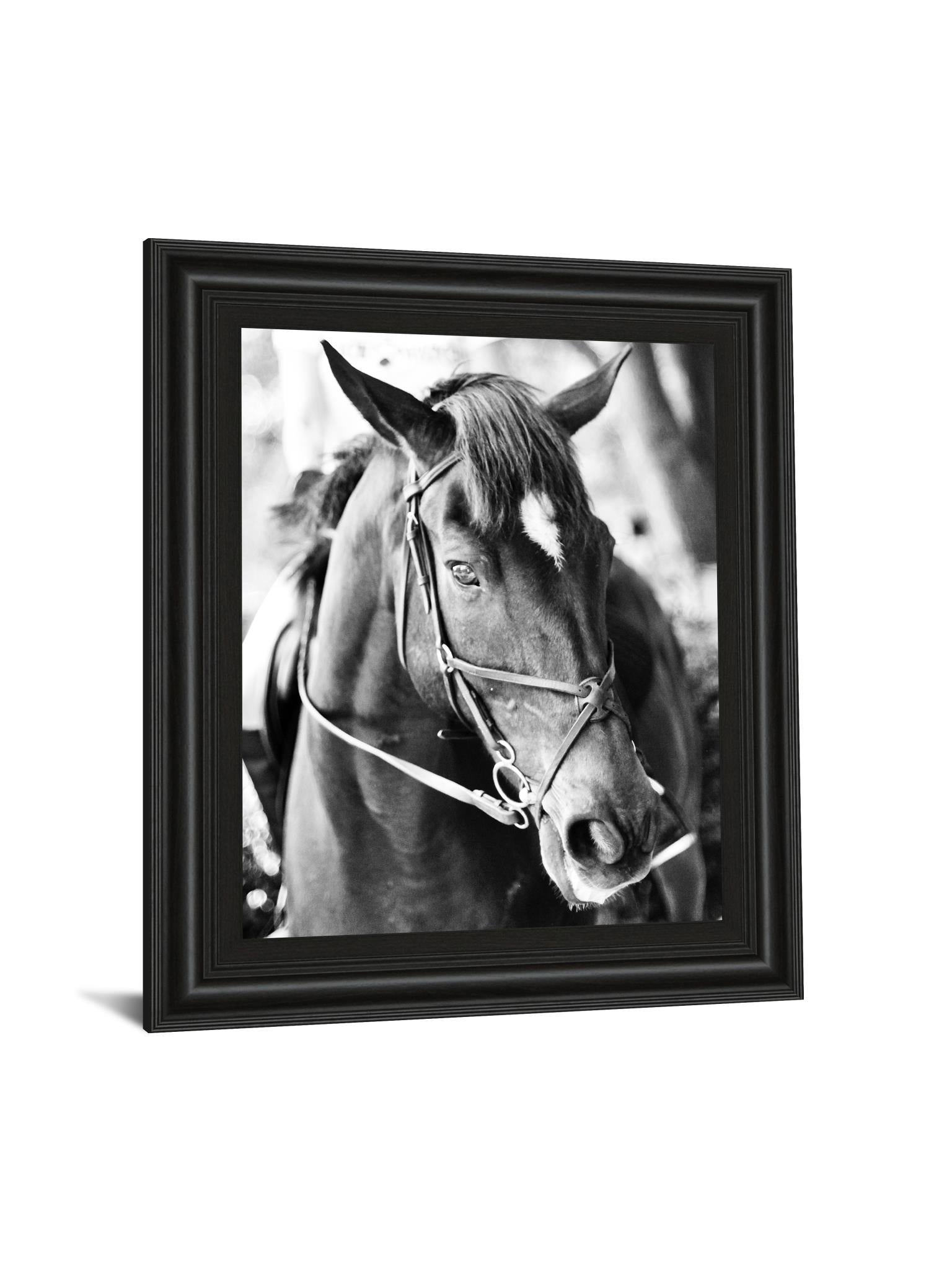 Derby I By Susan Bryant 22X26 Framed Print
