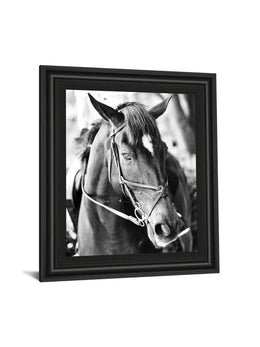 Derby I By Susan Bryant 22X26 Framed Print