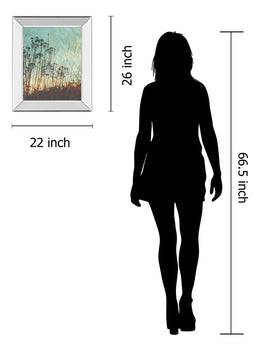 Mirrored Frame Wild Grass By Amy Melious 22X26 Mirror Frame Print