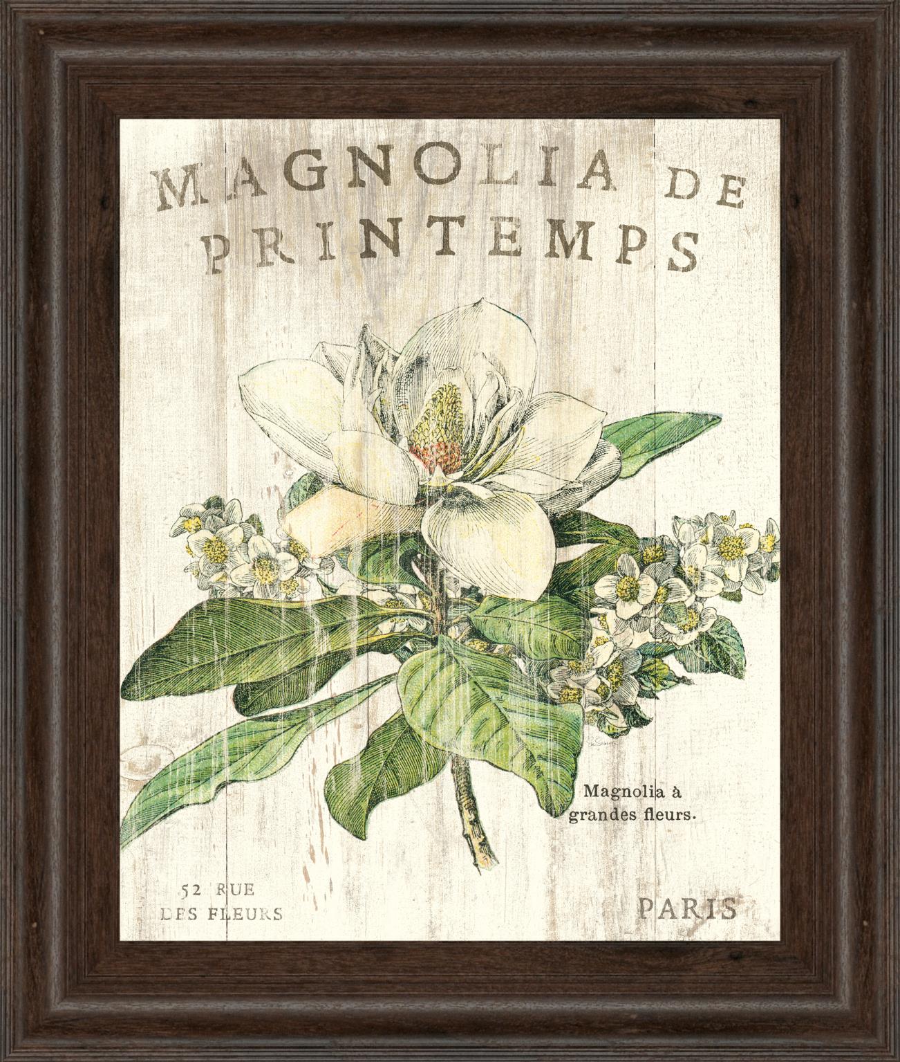 Magnolia De Printemps By Sue Schlabach 22X26 Framed Print