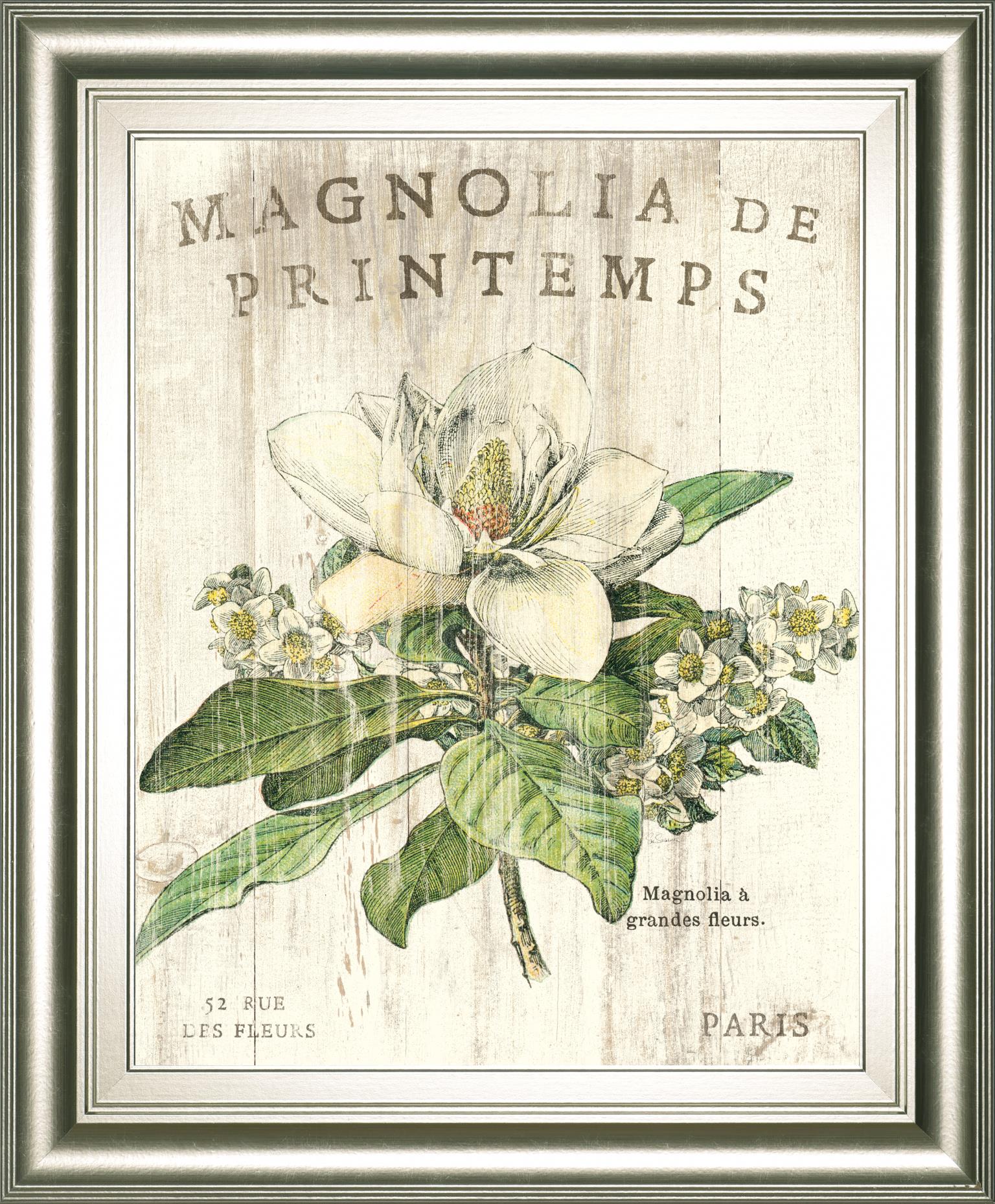 Magnolia De Printemps By Sue Schlabach 22X26 Framed Print
