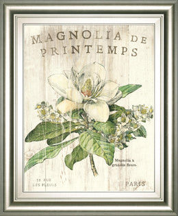 Magnolia De Printemps By Sue Schlabach 22X26 Framed Print