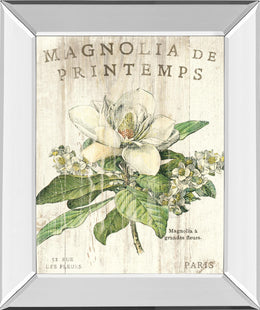 Mirrored Frame Magnolia De Printemps By Sue Schlabach 22X26 Mirror Frame Print