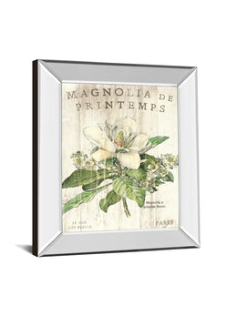 Mirrored Frame Magnolia De Printemps By Sue Schlabach 22X26 Mirror Frame Print