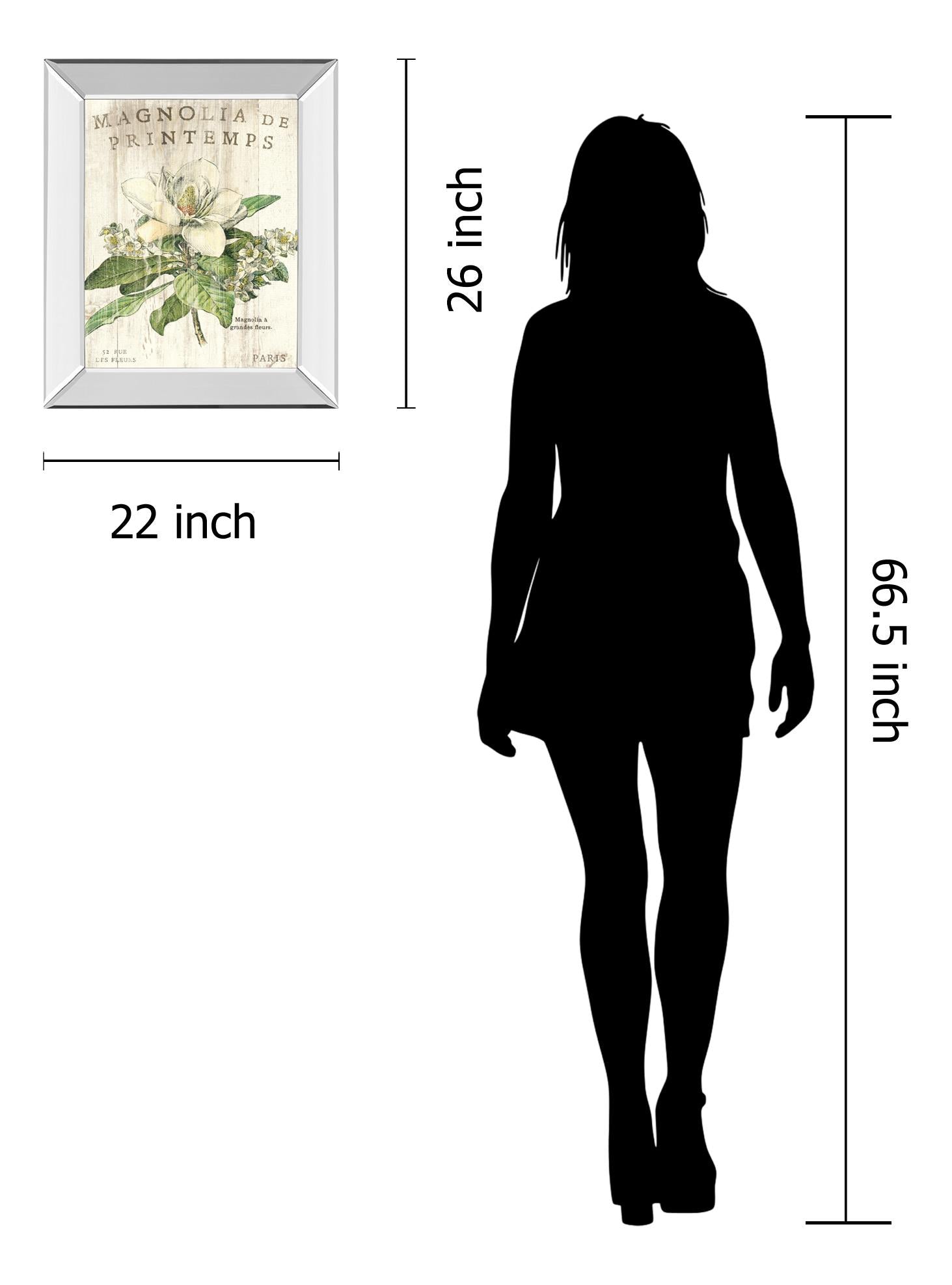 Mirrored Frame Magnolia De Printemps By Sue Schlabach 22X26 Mirror Frame Print