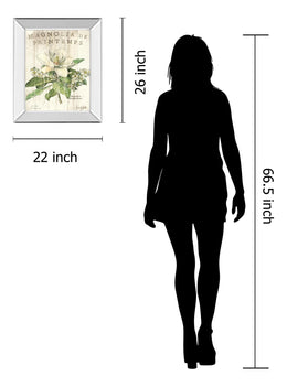 Mirrored Frame Magnolia De Printemps By Sue Schlabach 22X26 Mirror Frame Print