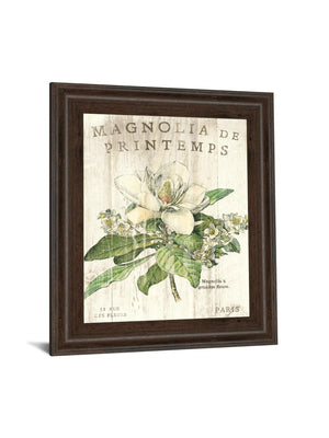 Magnolia De Printemps By Sue Schlabach 22X26 Framed Print