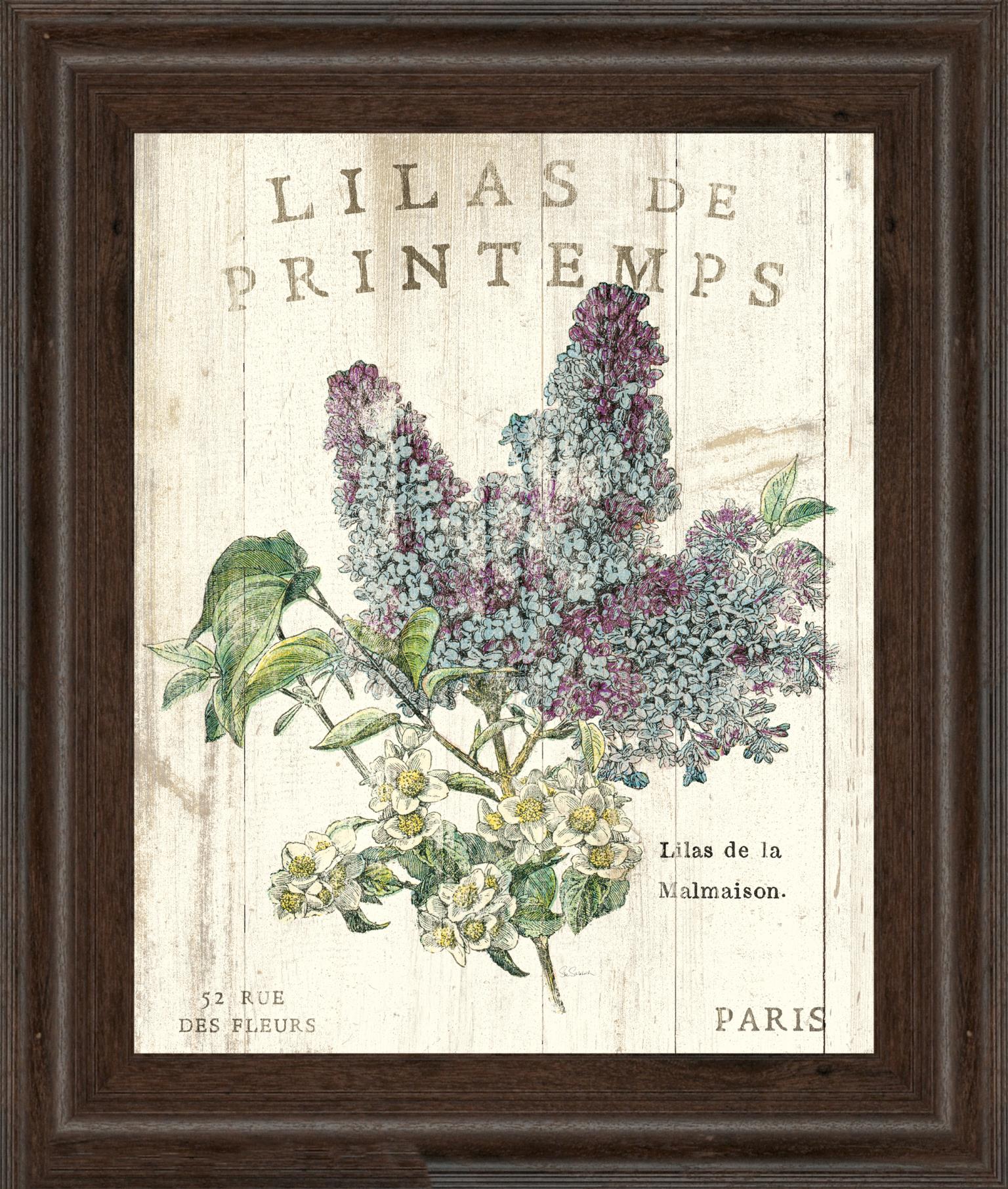 Lilas De Printemps By Sue Schlabach 22X26 Framed Print