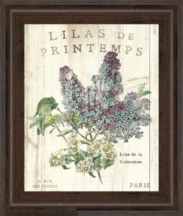 Lilas De Printemps By Sue Schlabach 22X26 Framed Print