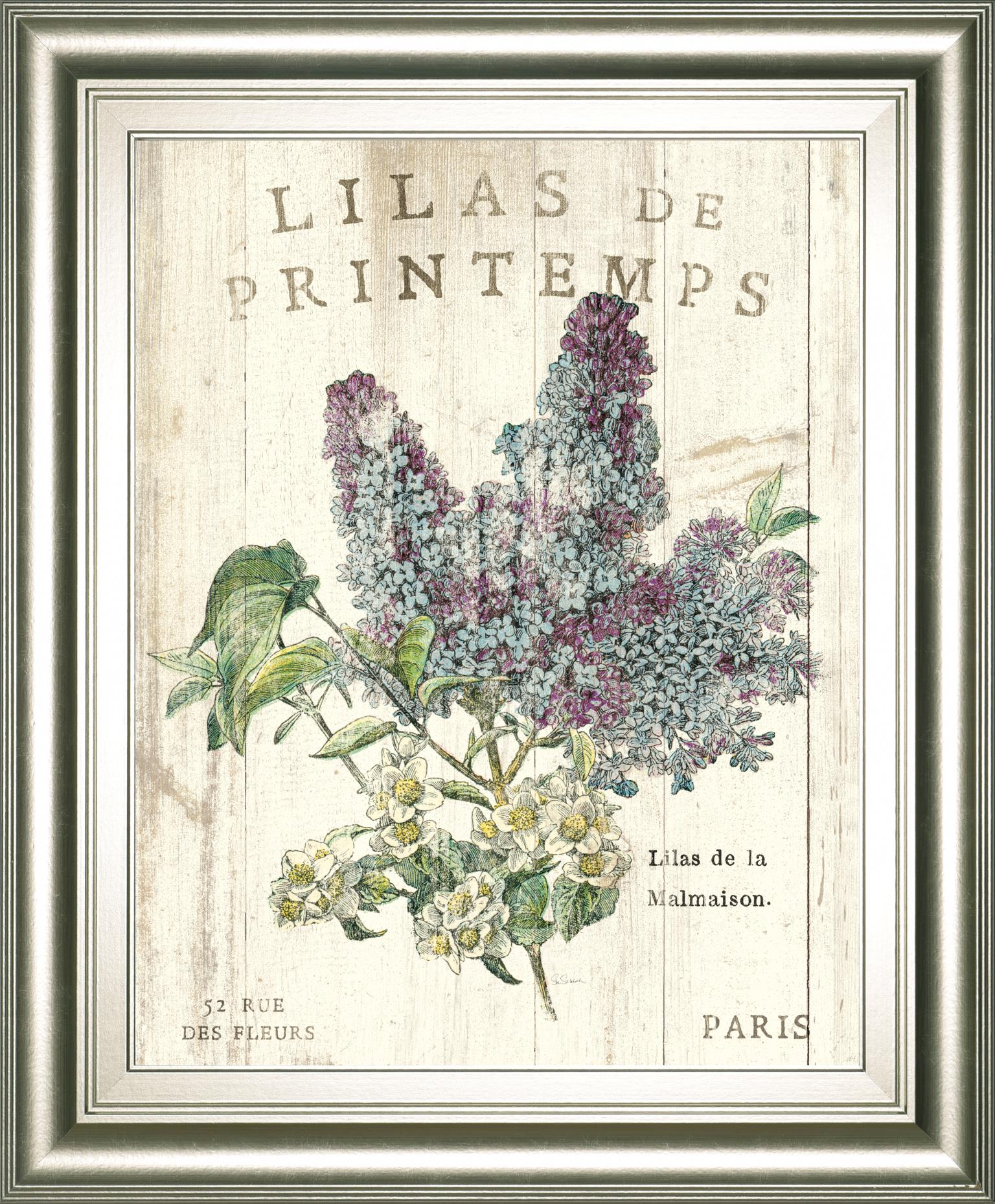 Lilas De Printemps By Sue Schlabach 22X26 Framed Print