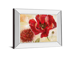 Mirrored Frame Passion For Poppies Ii By Nan 22X26 Mirror Frame Print