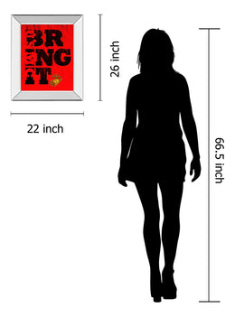 Mirrored Frame Bring It 22X26 Mirror Frame Print