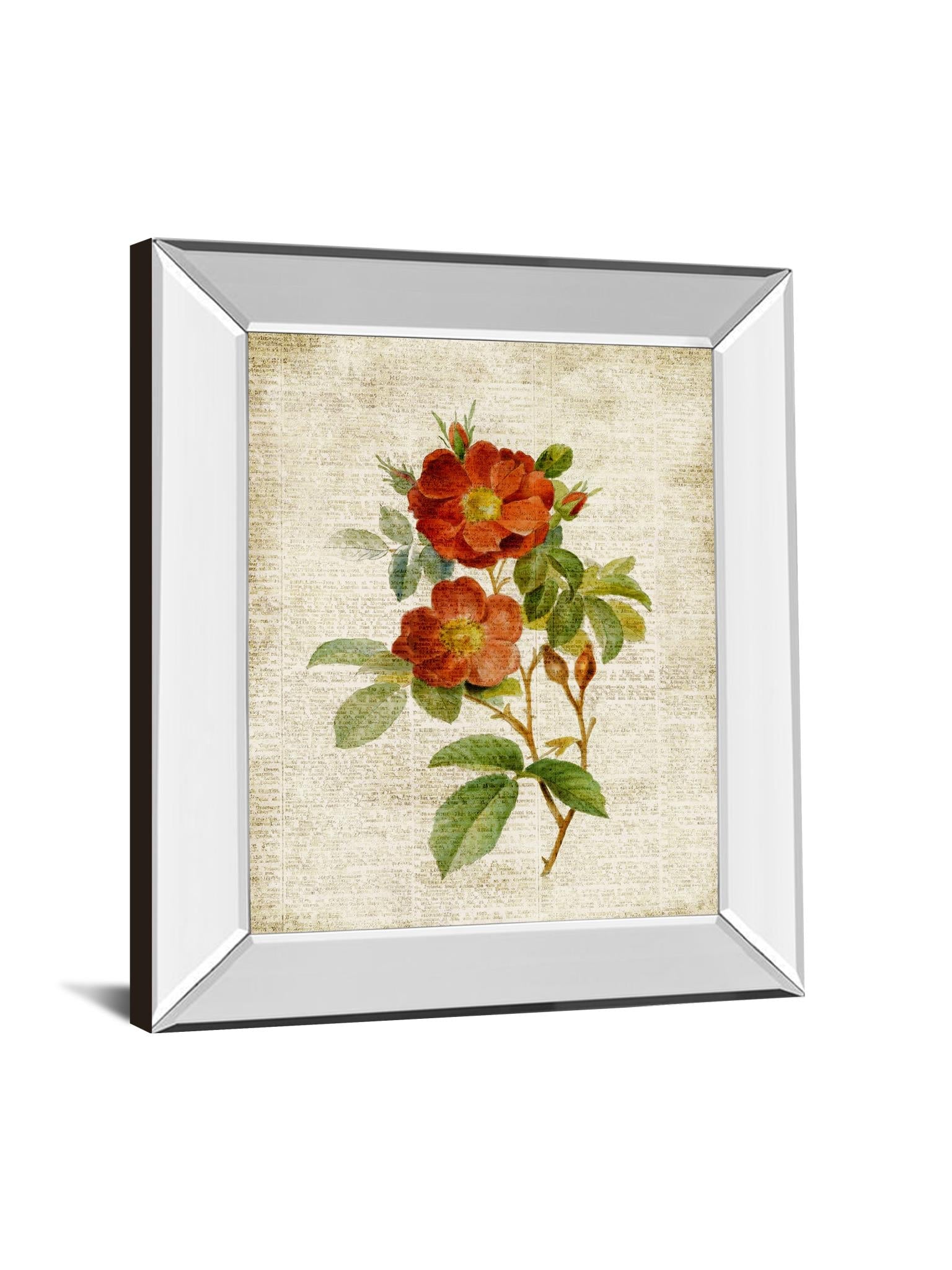 Mirrored Frame Roses On Newsprint Ii By Lanie Loreth 22X26 Mirror Frame Print