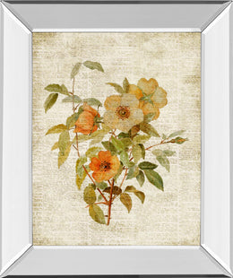 Mirrored Frame Roses On Newsprint I  By Lanie Loreth 22X26 Mirror Frame Print