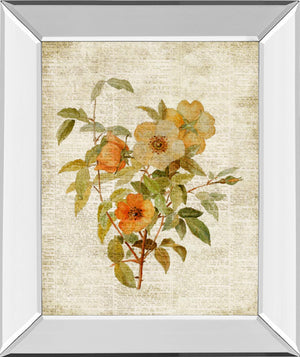 Mirrored Frame Roses On Newsprint I  By Lanie Loreth 22X26 Mirror Frame Print