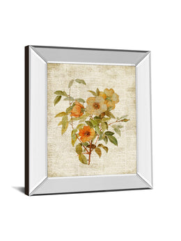 Mirrored Frame Roses On Newsprint I  By Lanie Loreth 22X26 Mirror Frame Print