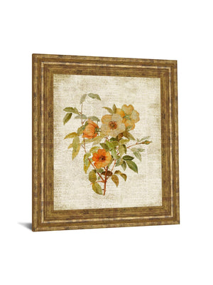 Roses On Newsprint I  By Lanie Loreth 22X26 Framed Print