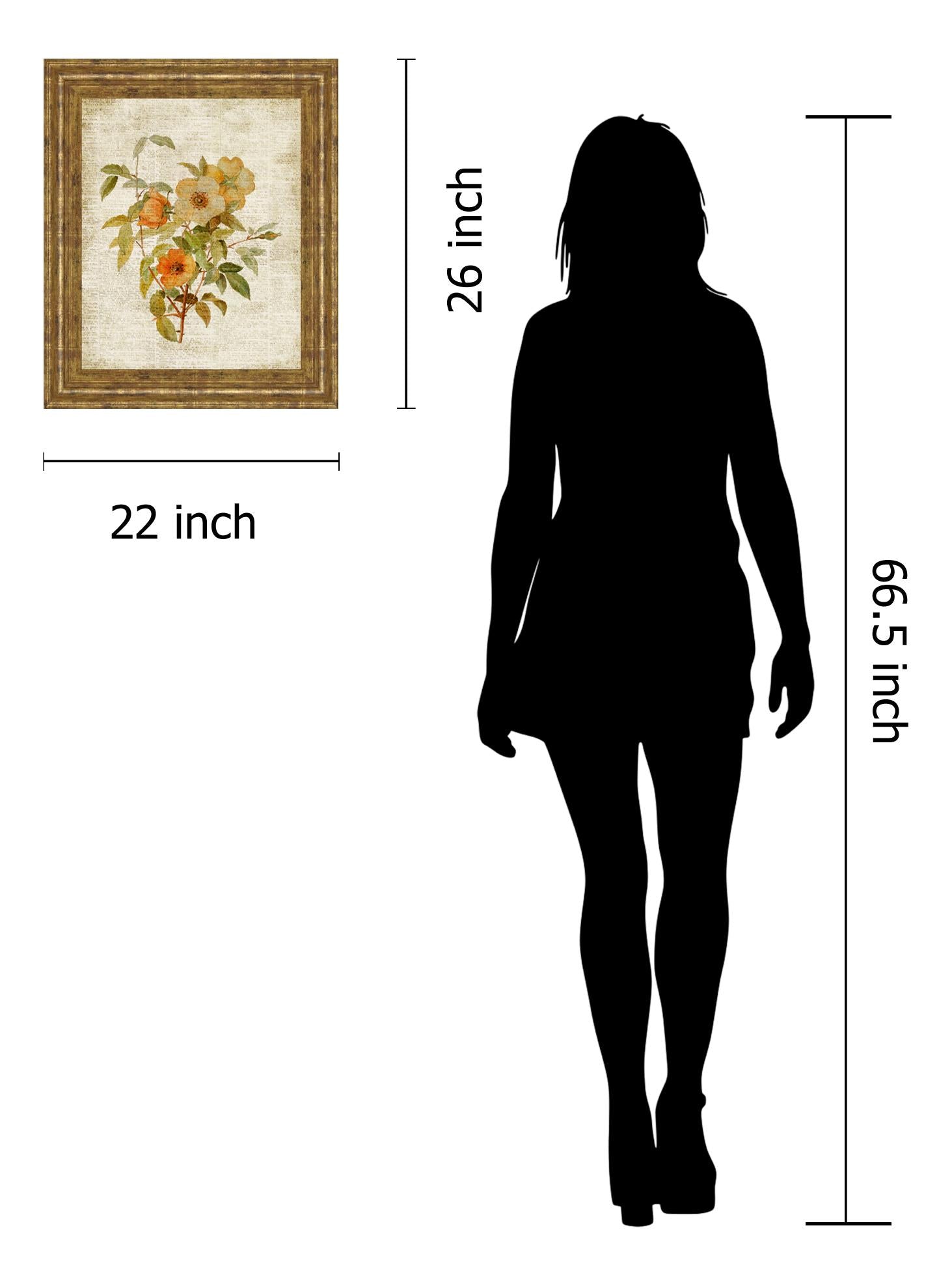 Roses On Newsprint I  By Lanie Loreth 22X26 Framed Print