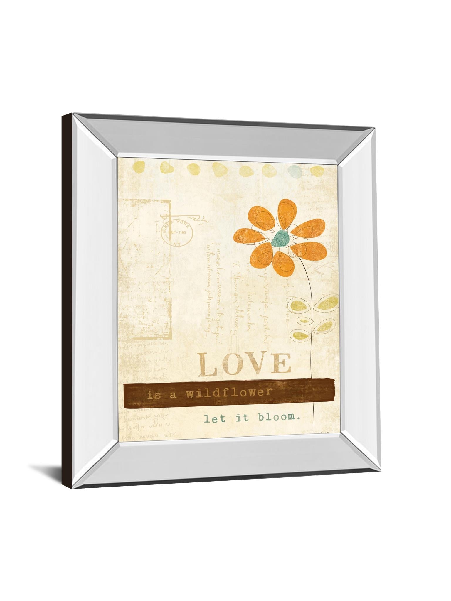 Mirrored Frame Let Love Bloom By Mollie B 22X26 Mirror Frame Print