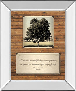 Mirrored Frame Opportunity By John Jones 22X26 Mirror Frame Print