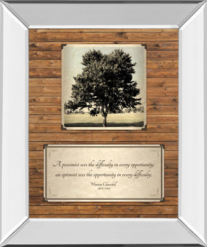 Mirrored Frame Opportunity By John Jones 22X26 Mirror Frame Print