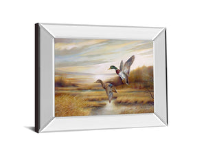 Mirrored Frame Mallards By Ruanne Manning 22X26 Mirror Frame Print