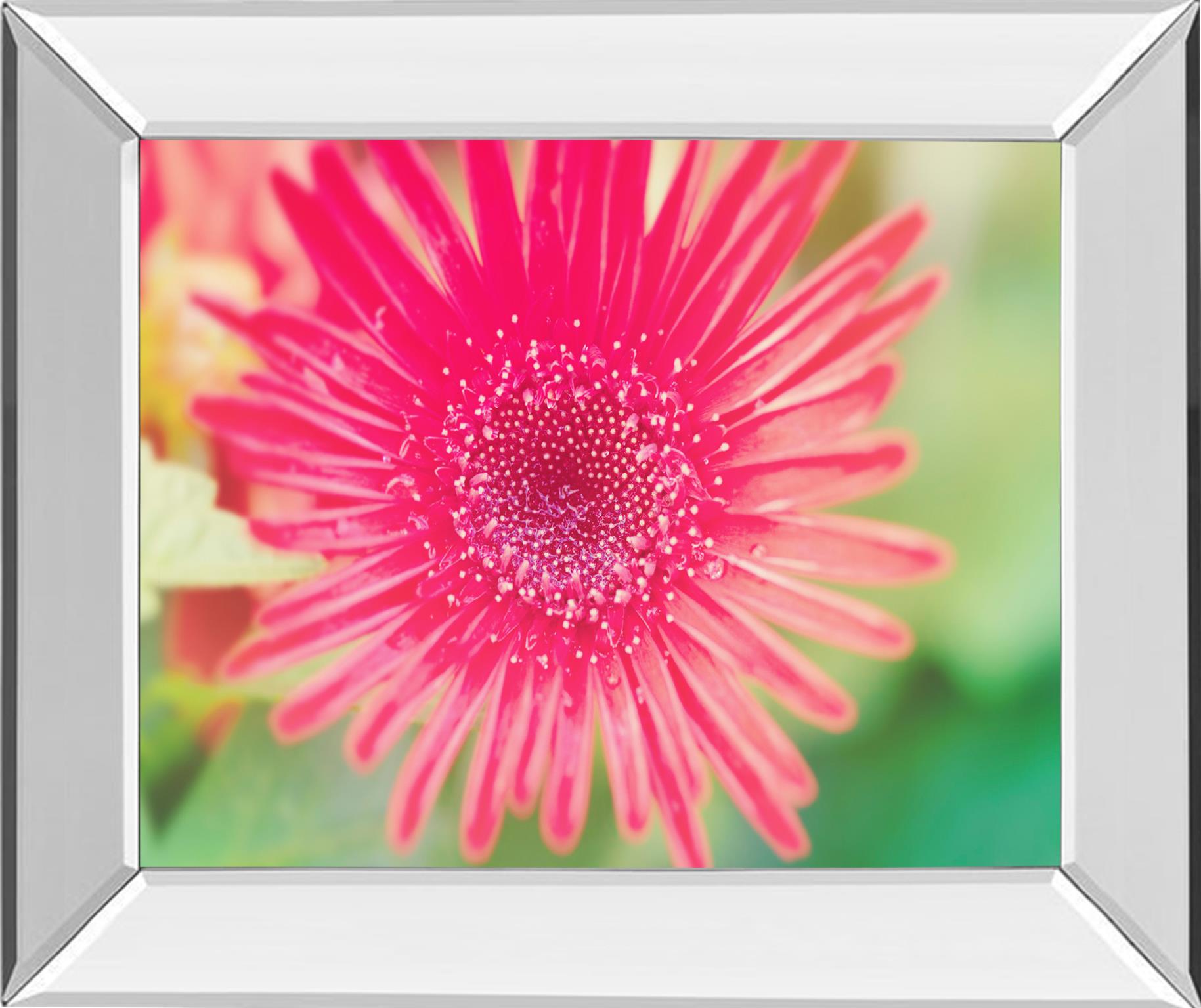 Mirrored Frame Pink Gerbera By Susan Bryant 22X26 Mirror Frame Print