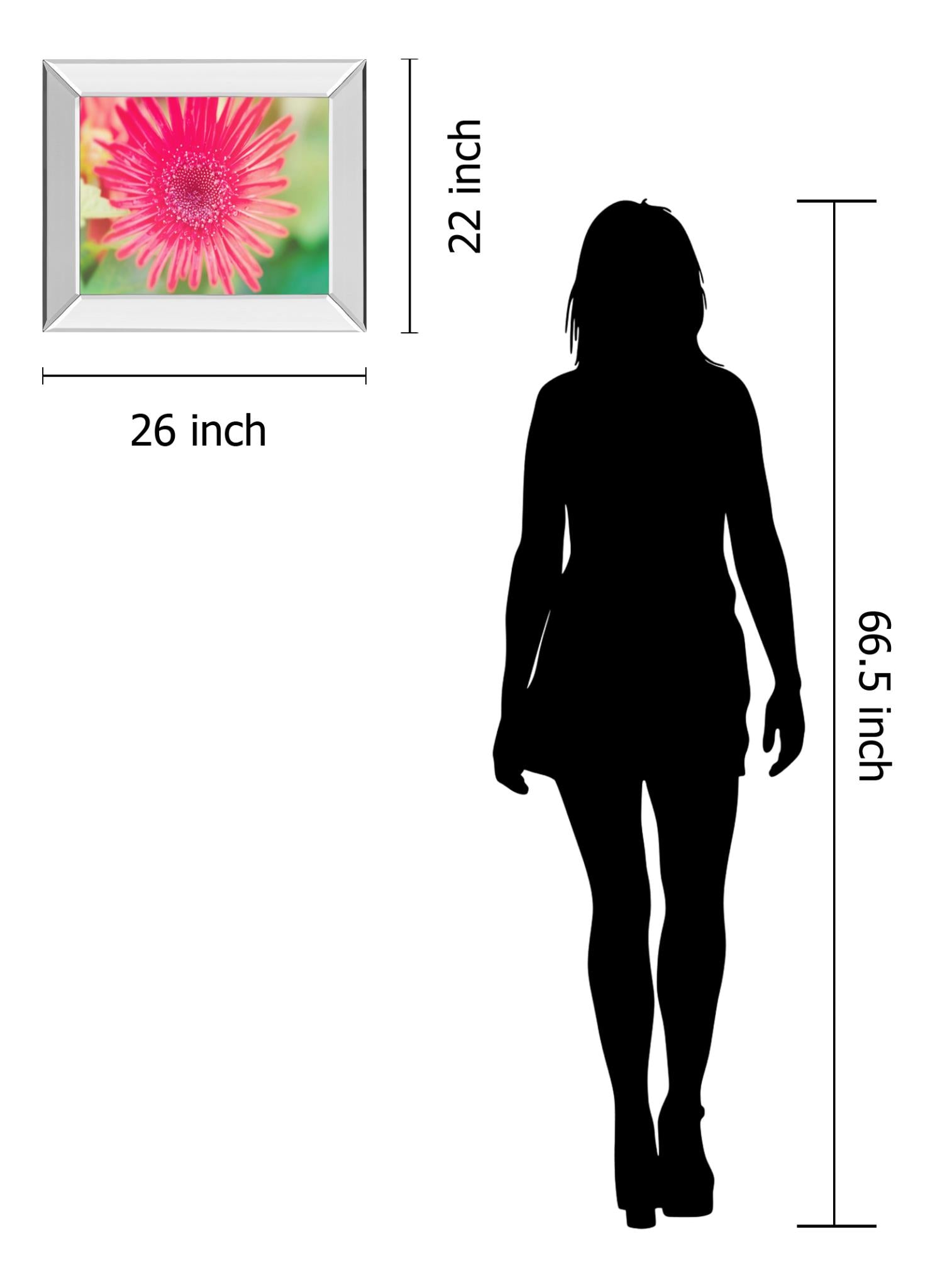 Mirrored Frame Pink Gerbera By Susan Bryant 22X26 Mirror Frame Print